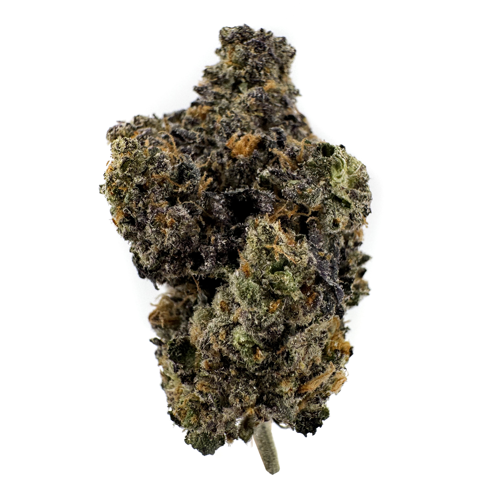 Photograph of product: Strain Kings Jealous P Rec - 14g