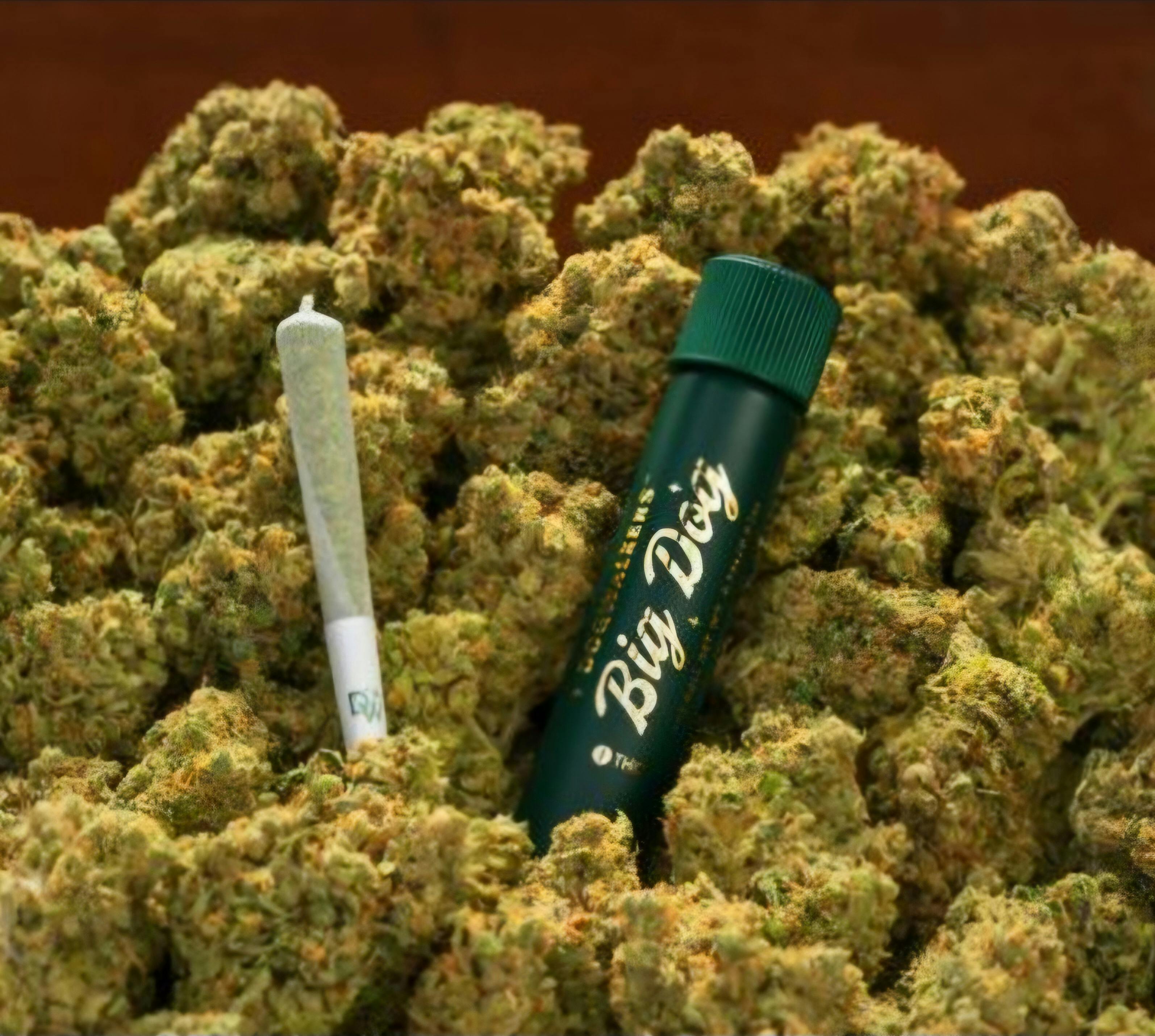 Photograph of product: ANIMAL FACE 1G PREROLL