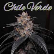 Photograph of product: RVRS - Chili Verde - 28g