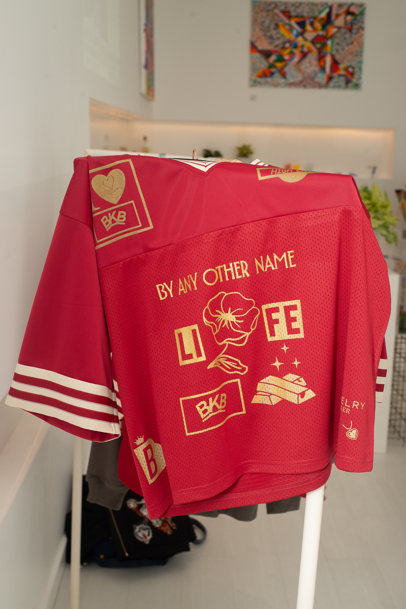 Photograph of product: Brooklyn or Bust | Jersey | Red | Medium