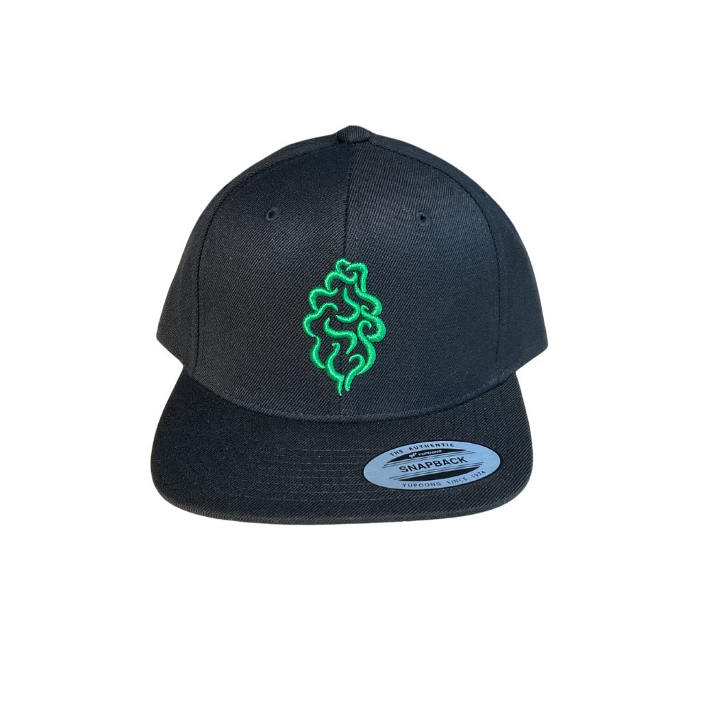 Photograph of product: Tree Shurts Tree Logo Snapback Hat - Black