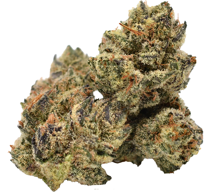 Photograph of product: Maven Genetics | Orange Bellini | 3.5G