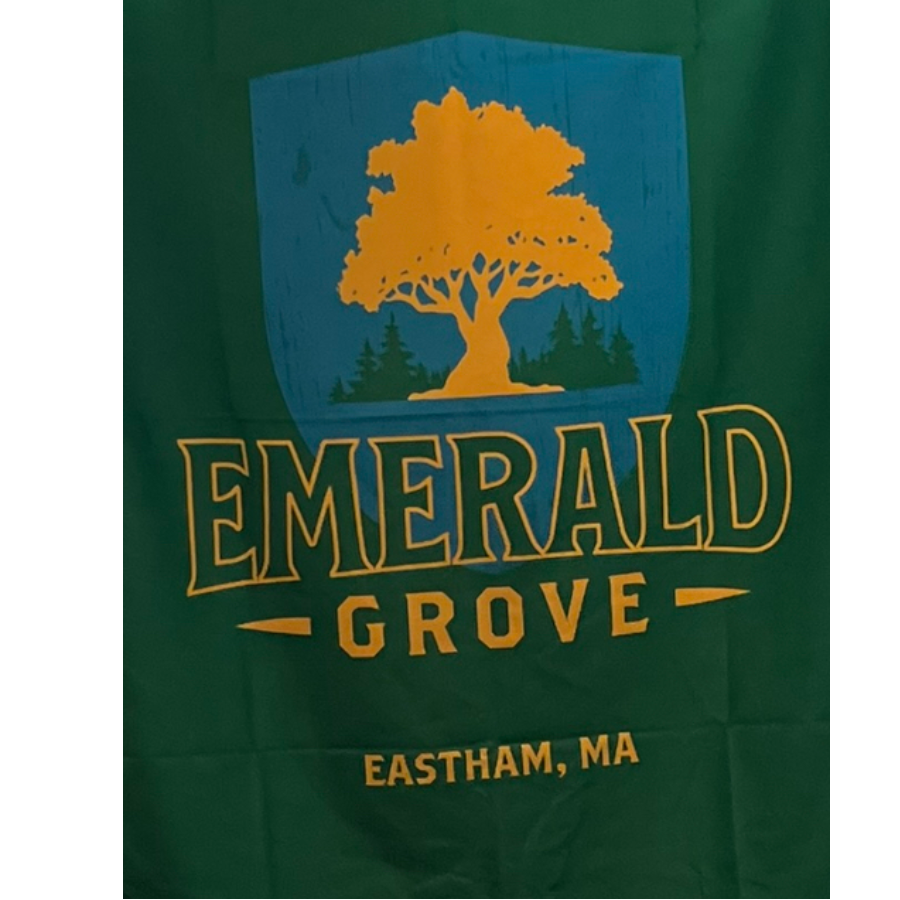Photograph of product: Emerald Grove | Beach Towels