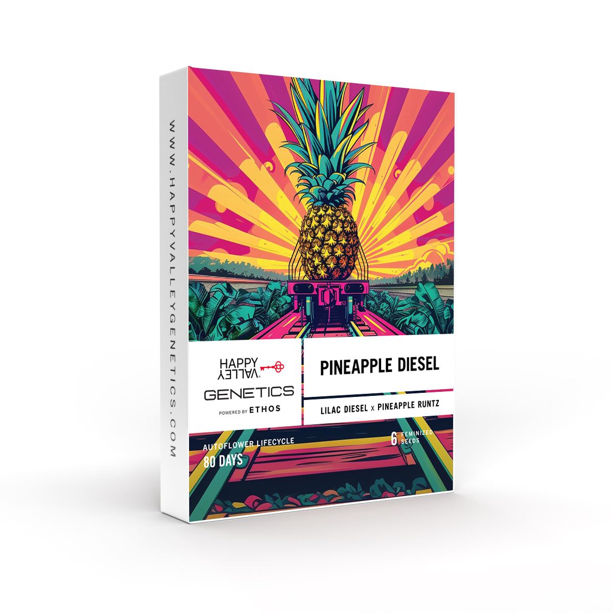 Photograph of product: HVG: Seed Pack - Pineapple Diesel (6-Pack) Autoflower