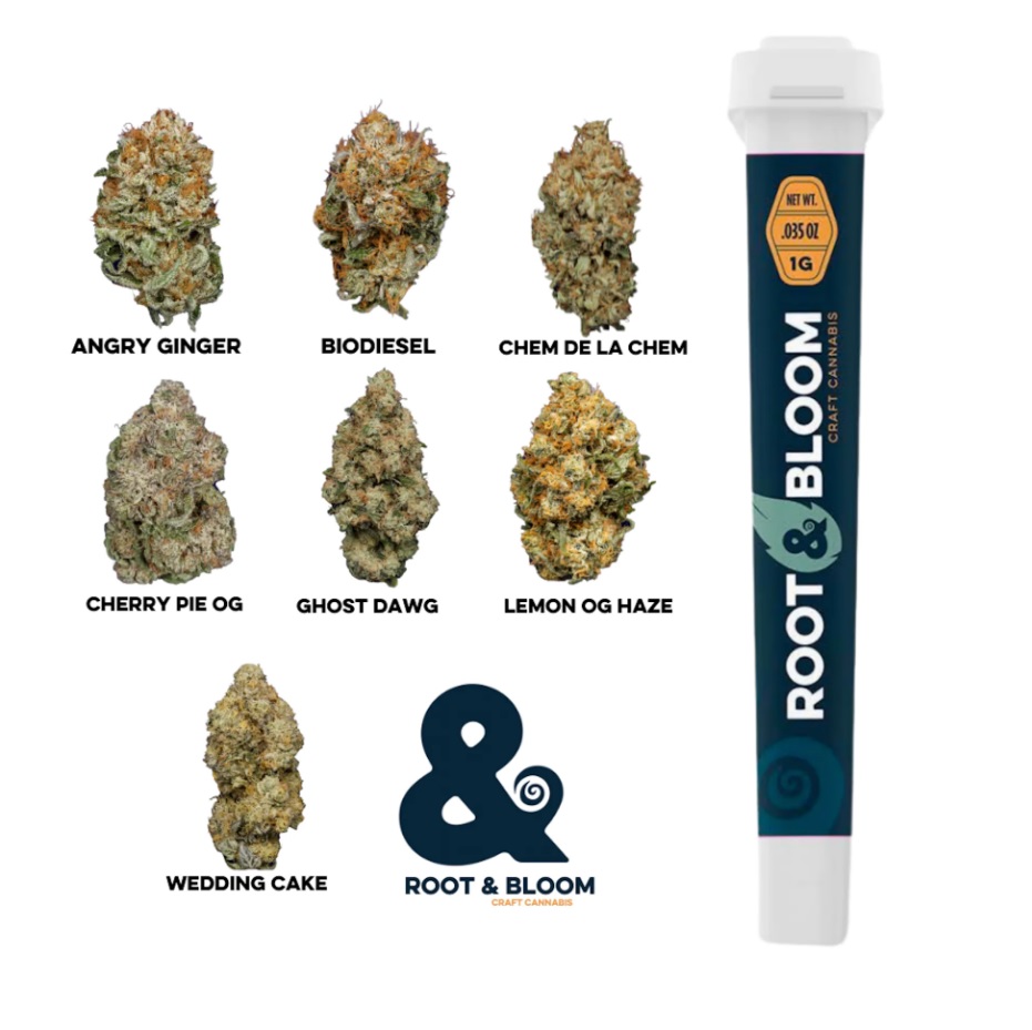 Photograph of product: Angry Ginger - Preroll 1g