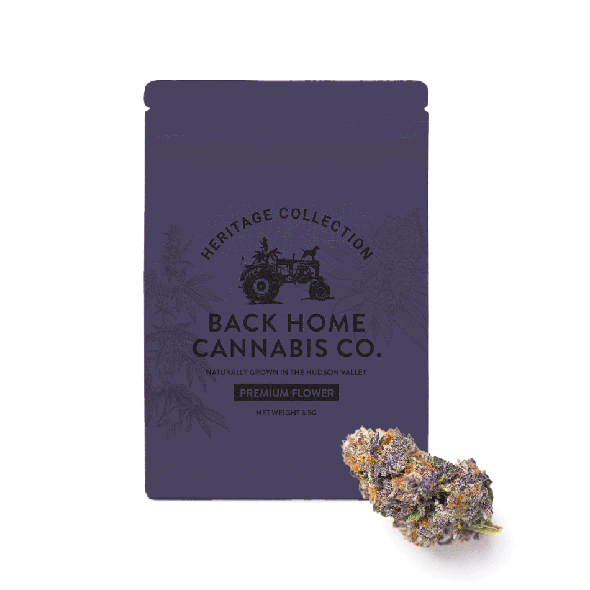 Photograph of product: Back Home Oui'd Co. | Gorilla Glue | Flower | 3.5g