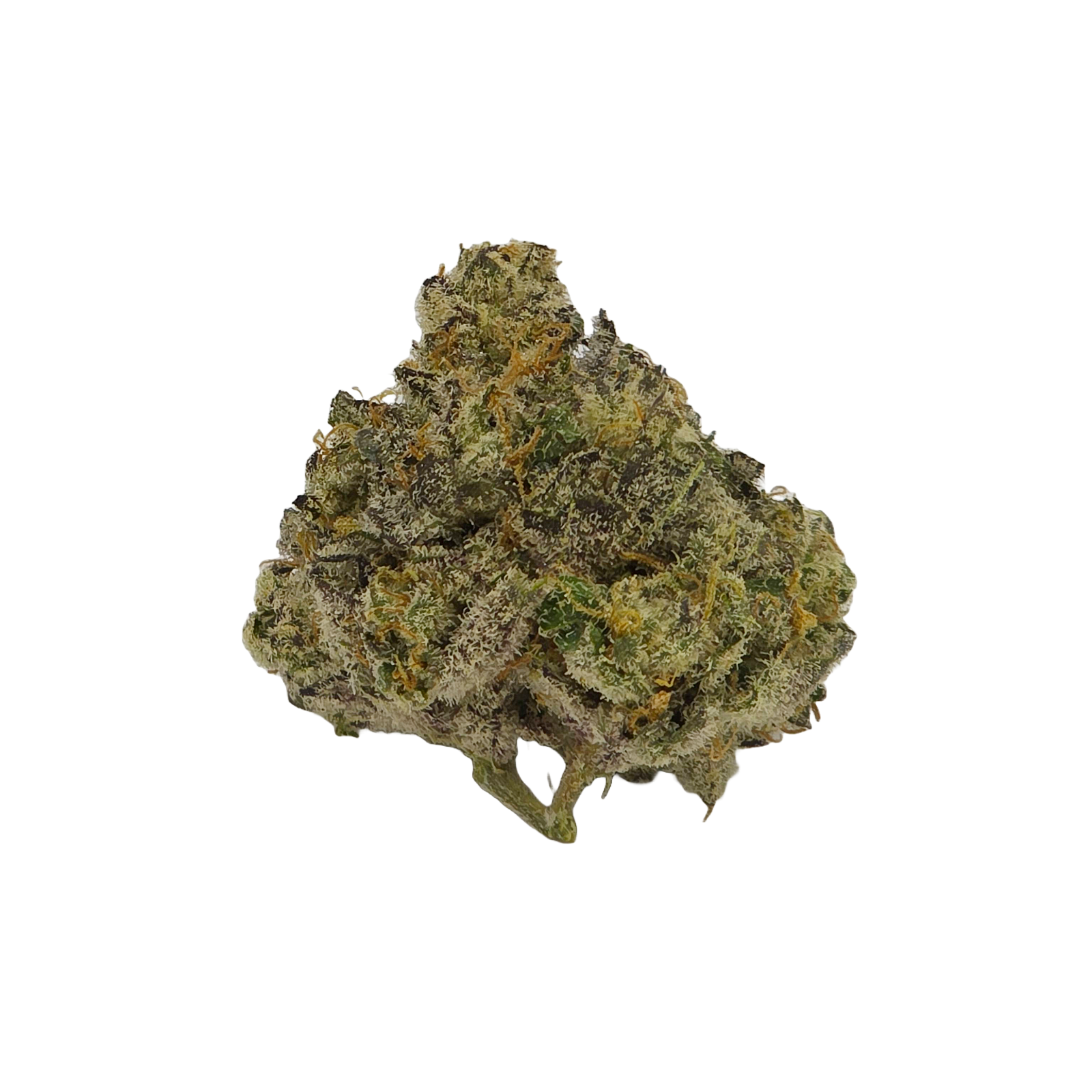 Photograph of product: French Kiwi - 2g