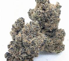 Photograph of product: Project Z | Society C | Bulk Flower
