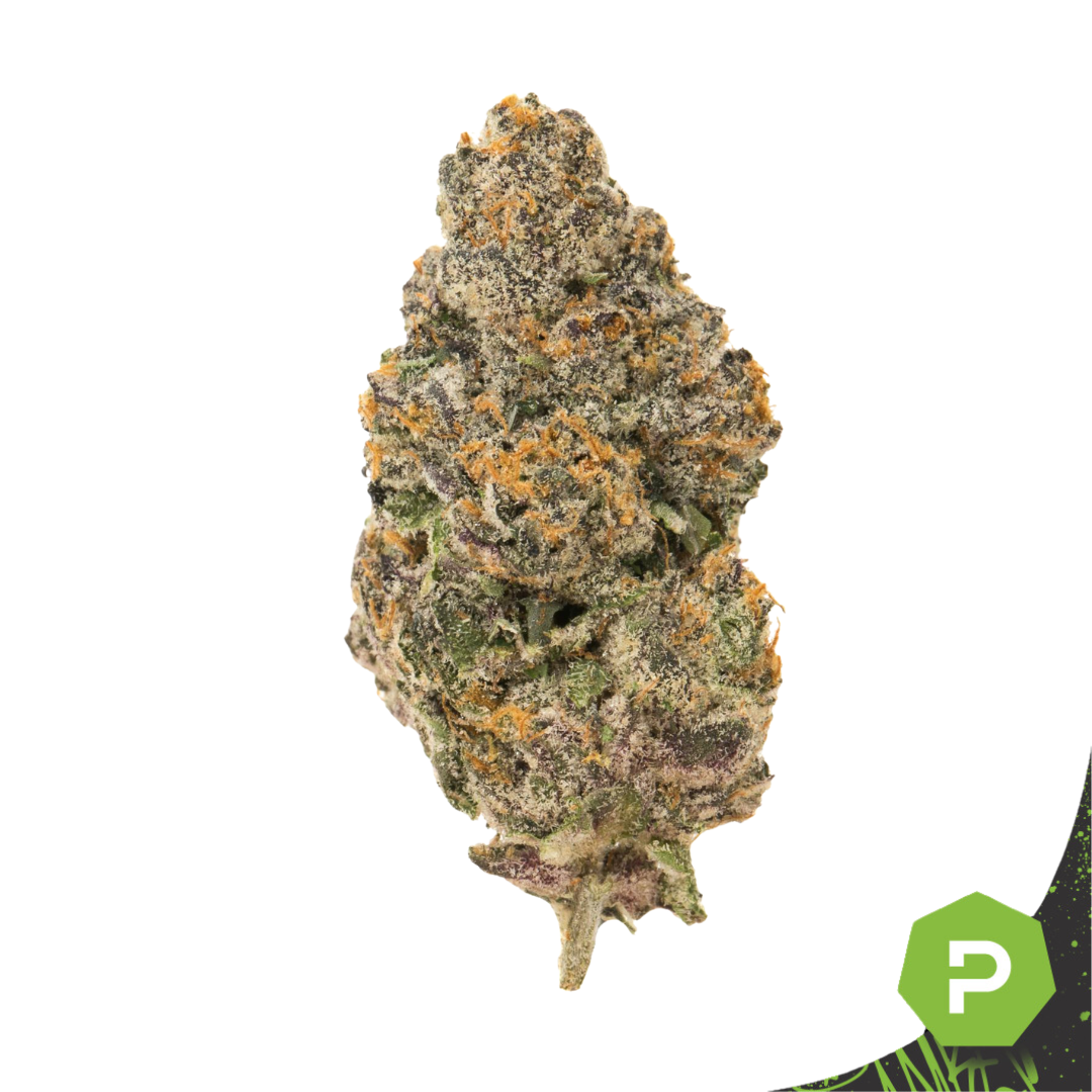 Photograph of product: Fat Pack | Lemon Cherry Gelato - 28g