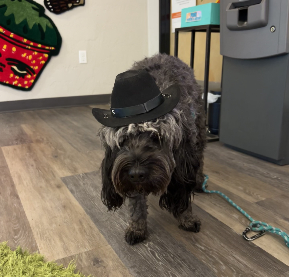 Photograph of product: Large Dog Cowboy Hat