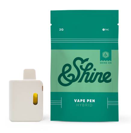 Photograph of product: BLUE RASPBERRY | 2G | DISPOSABLE