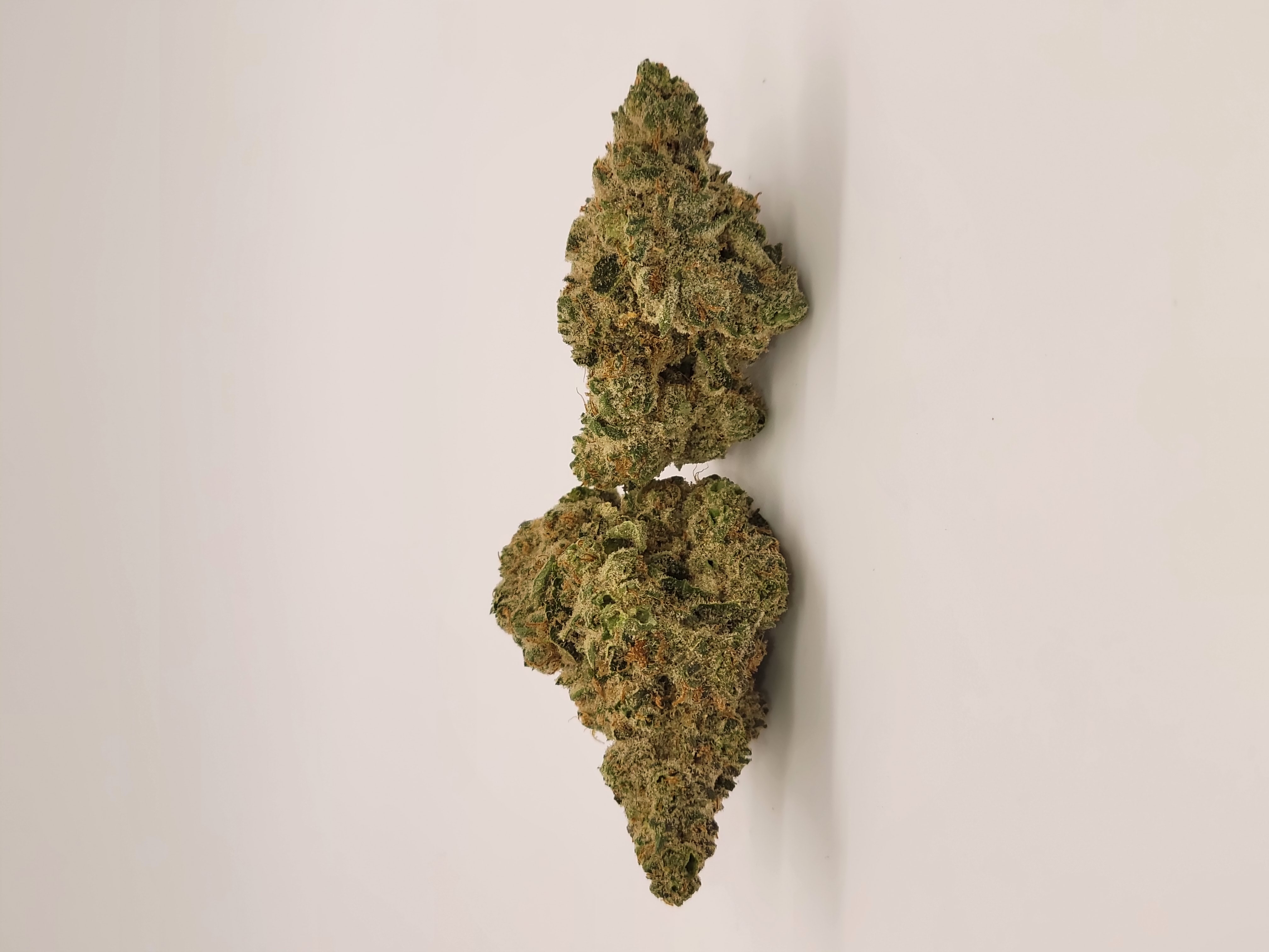Photograph of product: GUAVA BARZ #5 HALF