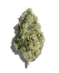 Photograph of product: CC | The Undertaker | 1G Pre-Roll