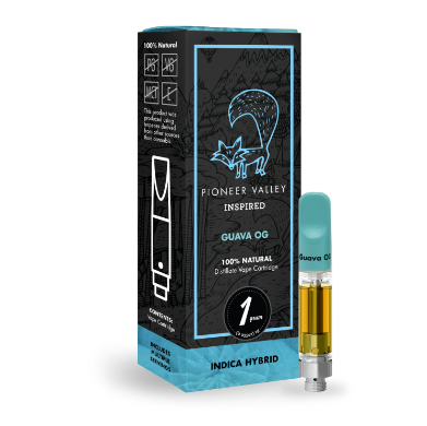 Photograph of product: Pioneer Valley Guava OG 1g Cartridge