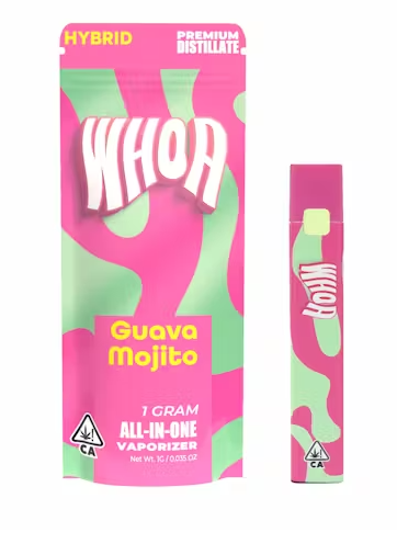 Photograph of product: GUAVA MOJITO | DISPOSABLE | 1G