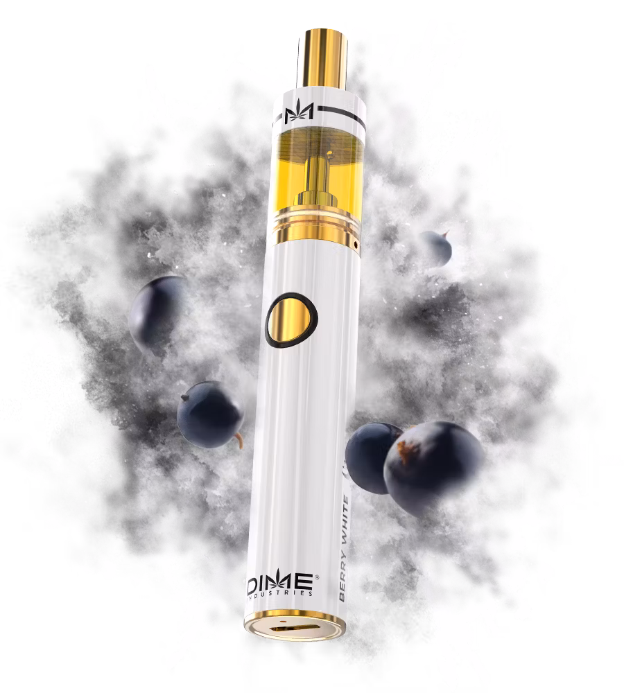 Photograph of product: DIME | Berry White | AIO Vape | 2g