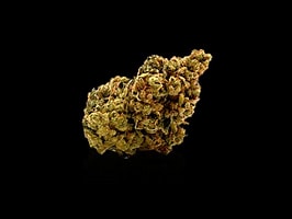 Photograph of product: Lava Cake | 1oz | Fresh Packed - 28g