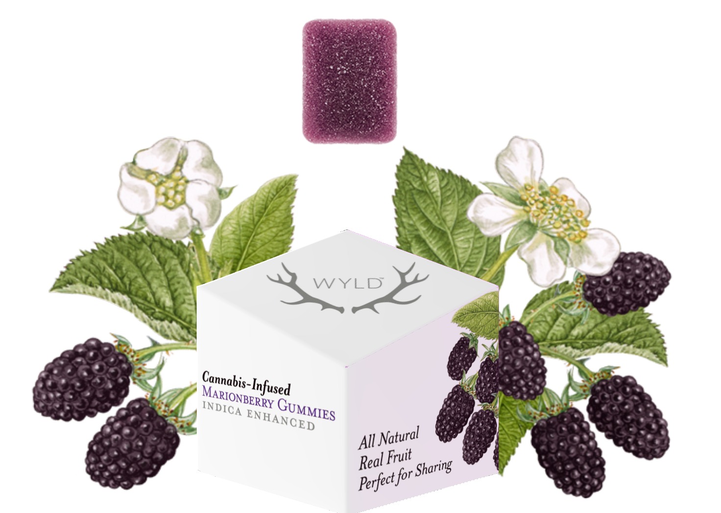 Photograph of product: Boxed Marionberry Gummy