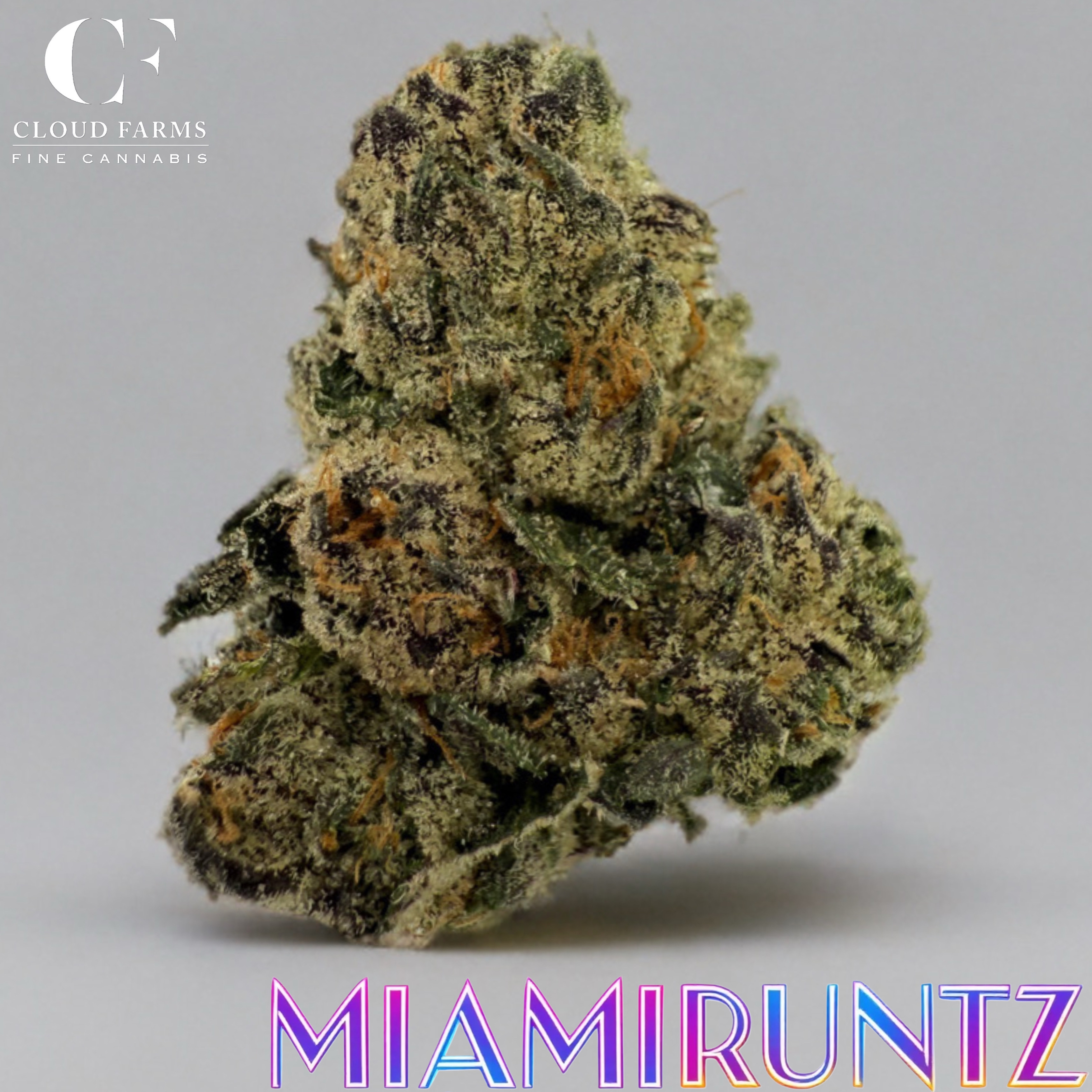 Photograph of product: Cloud Farms | Miami Runtz - 28g