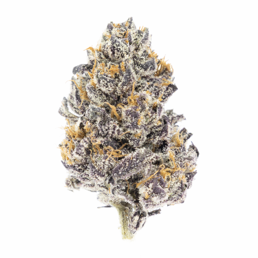 Photograph of product: BLACK CHERRY GELATO EIGHTH