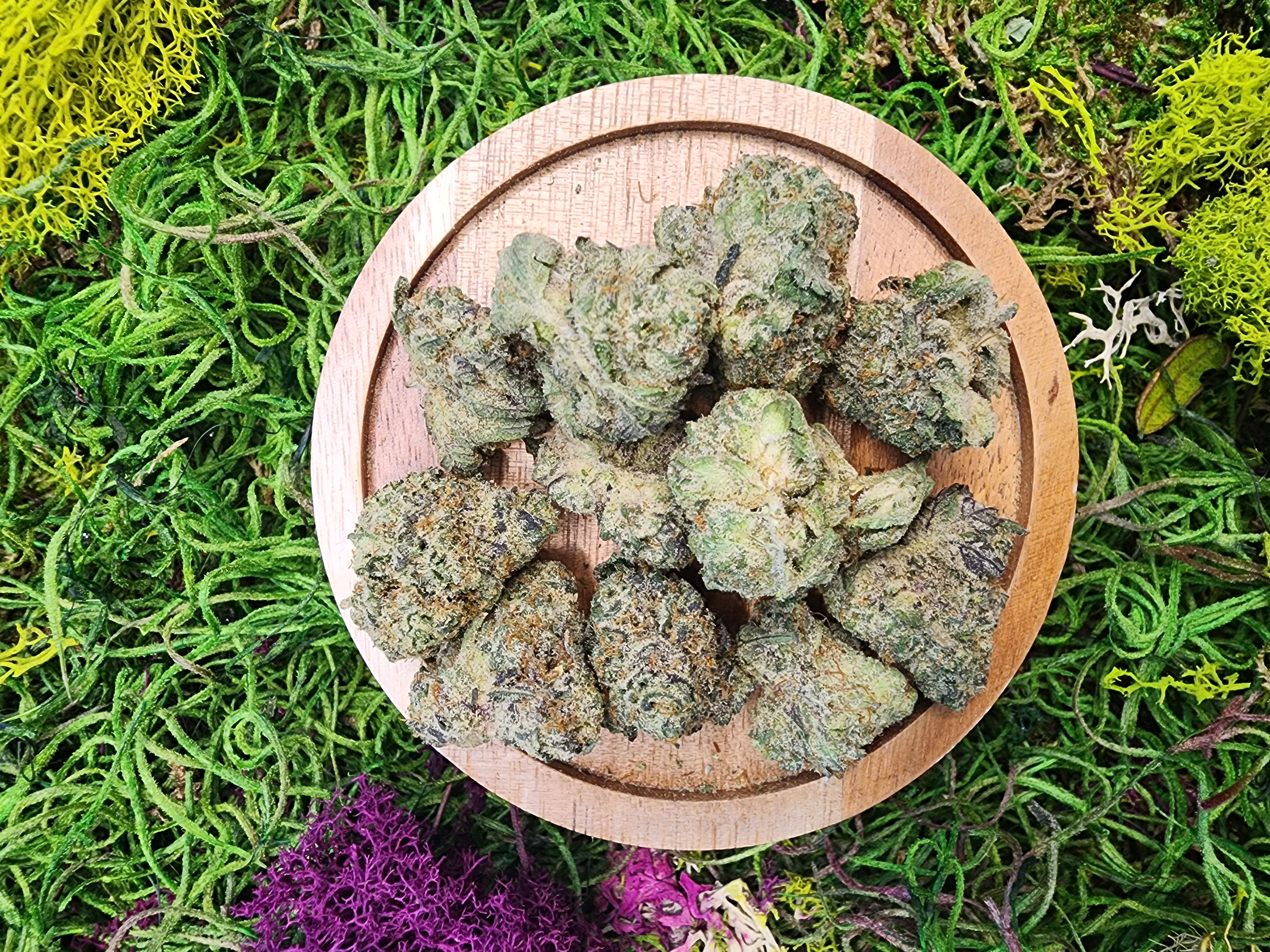 Photograph of product: 4G SUNKIZT #17 PRE-PACKED