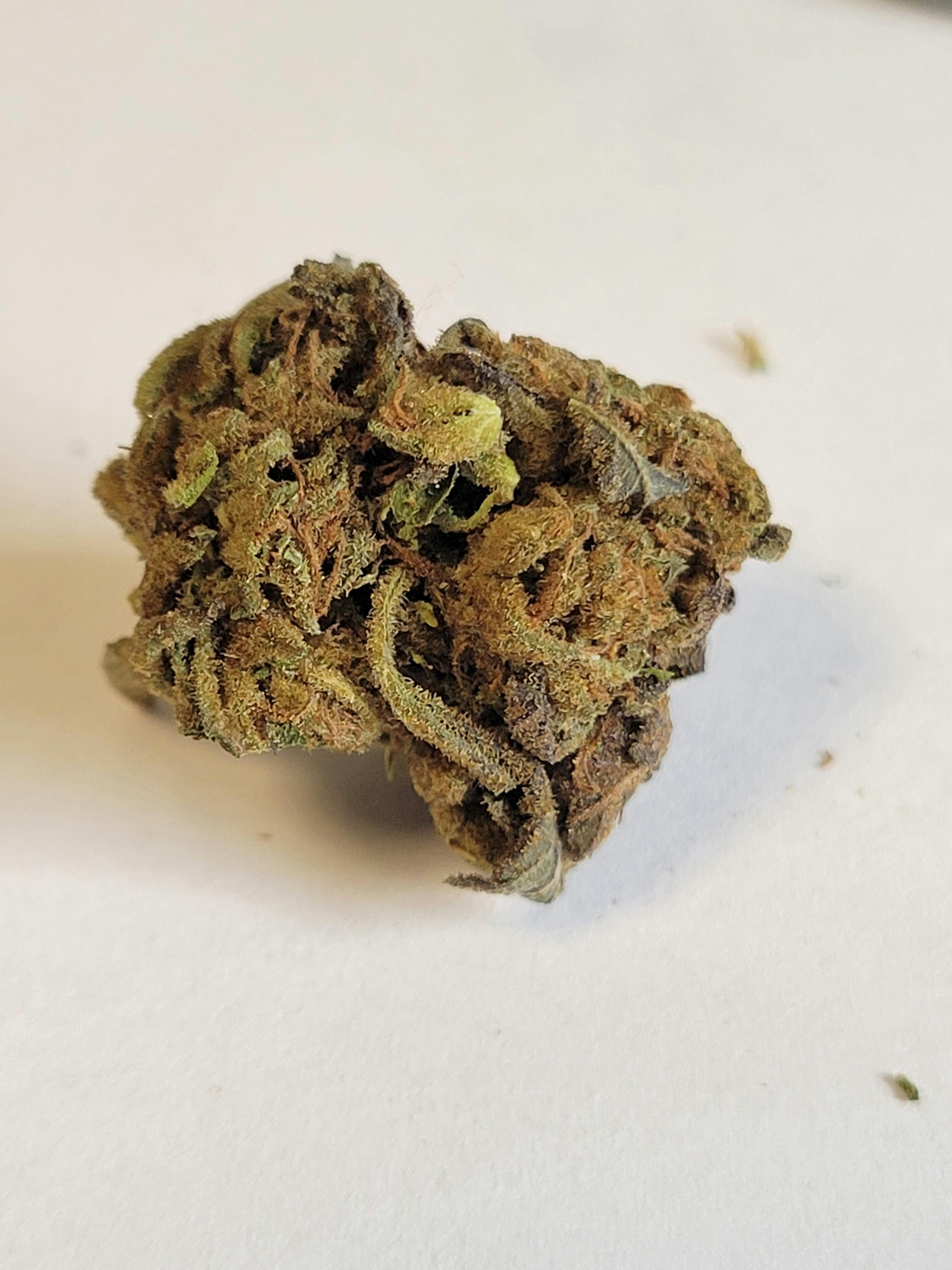 Photograph of product: Gazzurple *H*