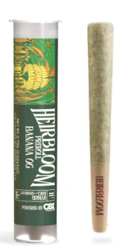 Photograph of product: Banana OG [H] - Preroll