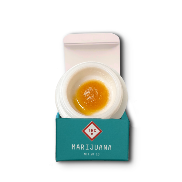 Photograph of product: Teal | Live Sugar | Jungle Cookies