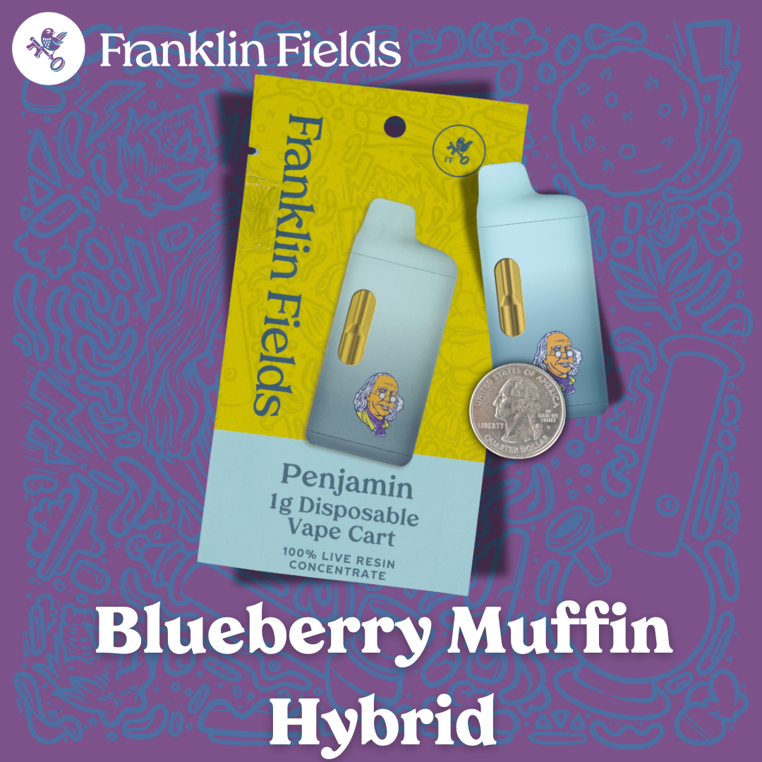 Photograph of product: Franklin Fields Penjamin | Blueberry Muffin Live Resin Disposable