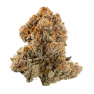 Photograph of product: Fortissimo | 3.5g