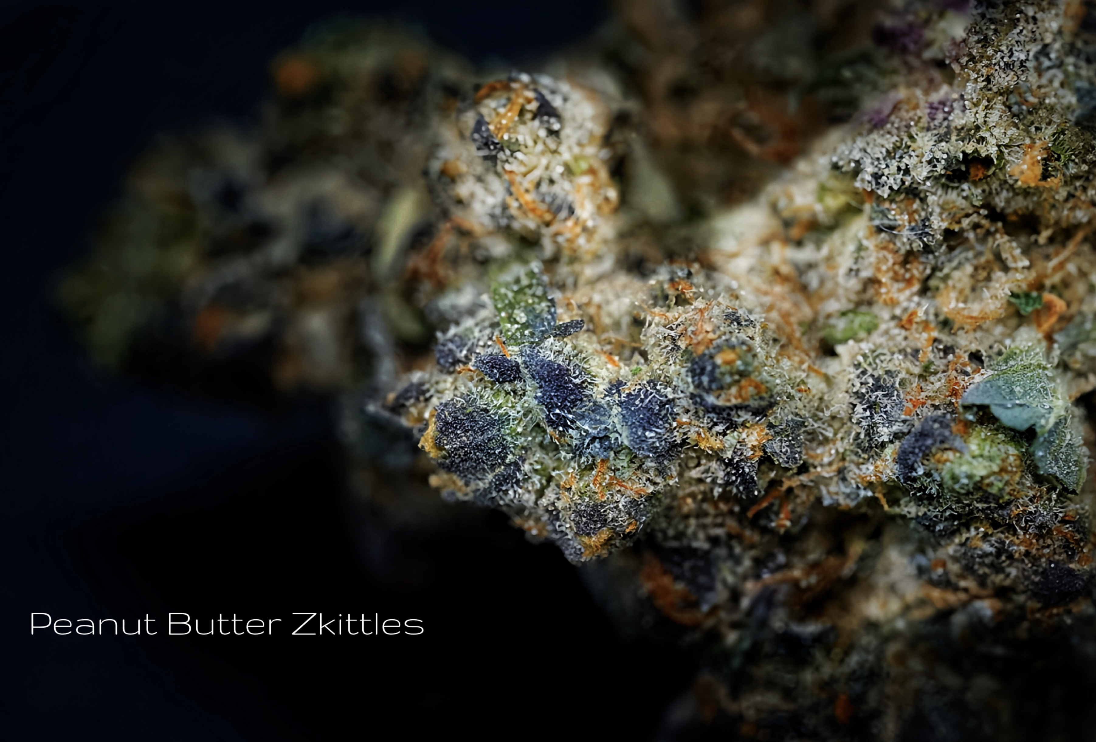 Photograph of product: Peanut Butter Zkittles Popcorn - 28g