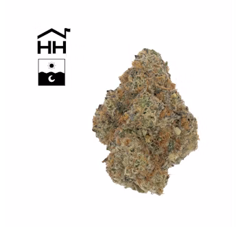 Photograph of product: Animal Tsunami | TAX INCLUDED - 28g