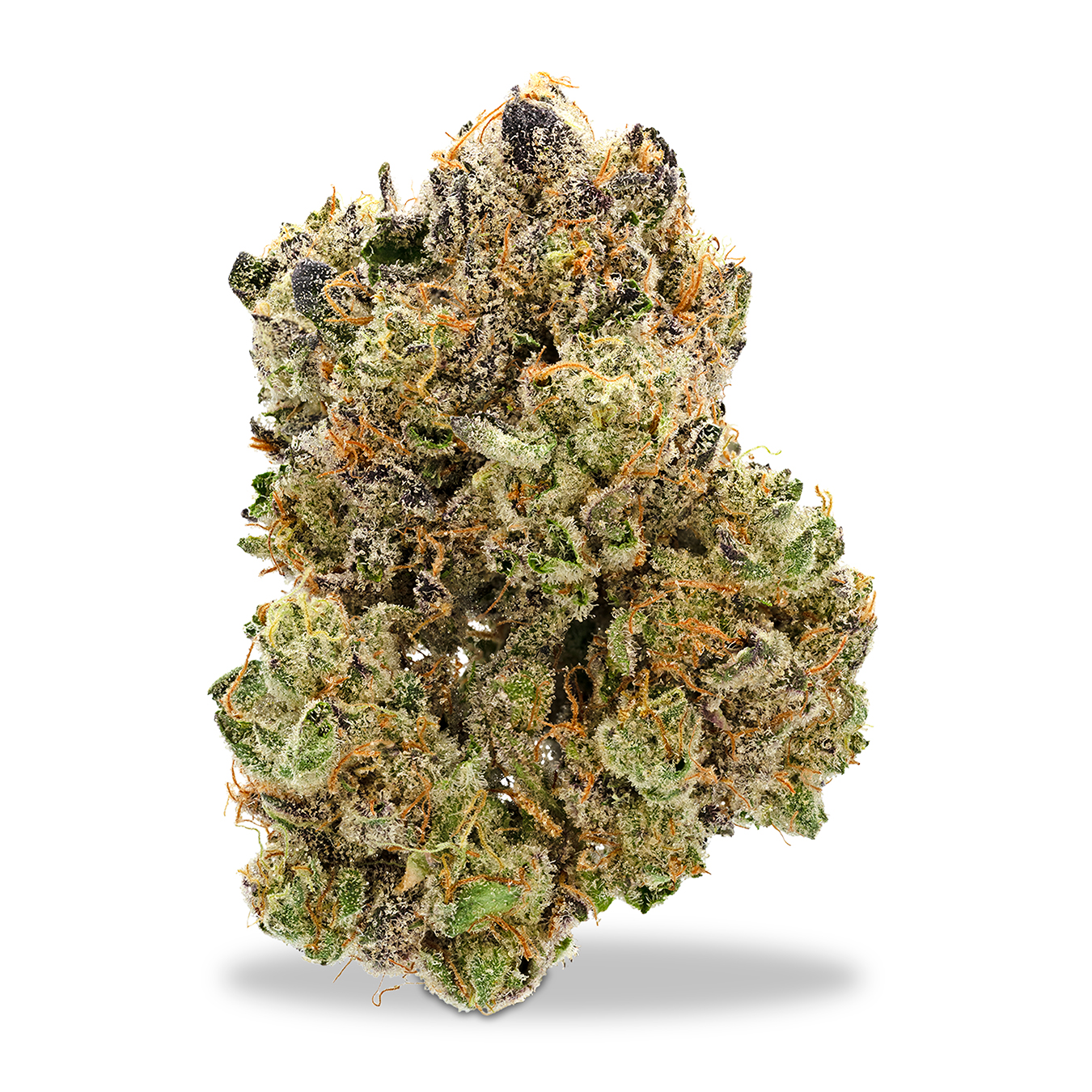 Photograph of product: Eastwood - Sunset Animal - 2g