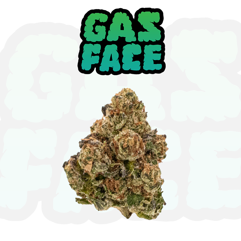 Photograph of product: Gas Face Tier 2 - 3.5g