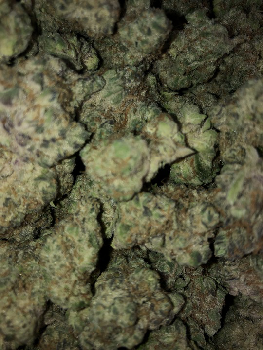 Photograph of product: GMO Smalls (Hotbox Farms)