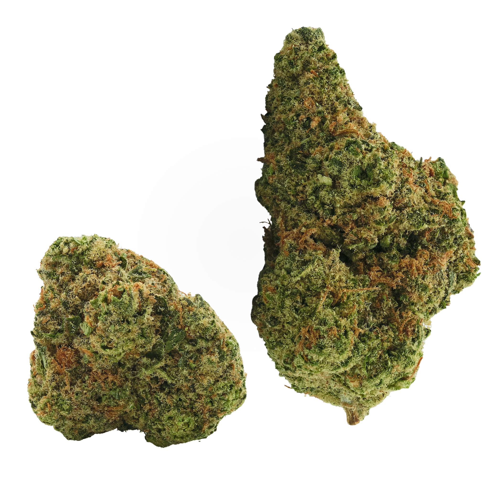 Photograph of product: Brainwash - 28g