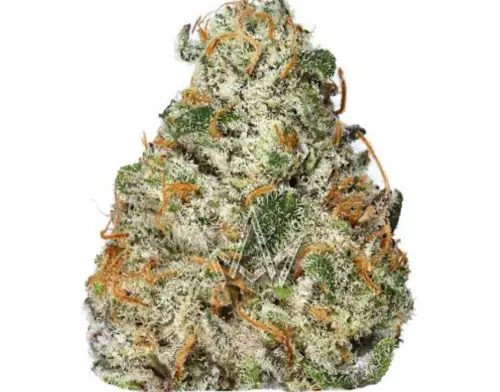 Photograph of Product: Strawberry Pine
