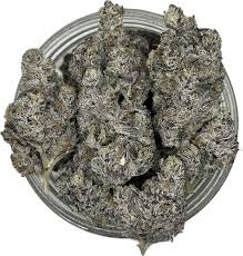 Photograph of product: Guerilla Grown | Ripped Off Runtz | Deli-Style Flower - 28g