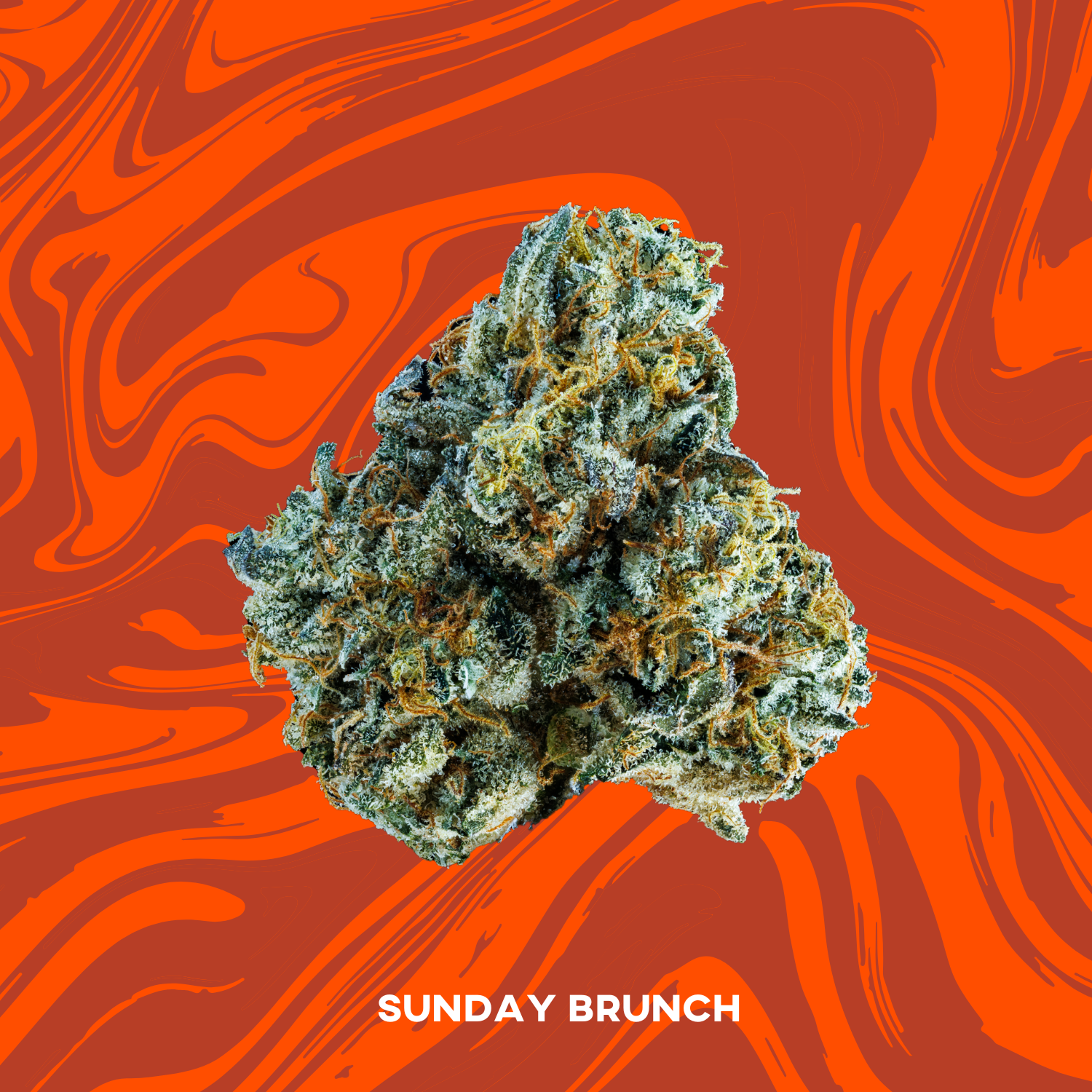 Photograph of product: VIVID - PREPACK - 3.5G - SUNDAY BRUNCH - HYBRID