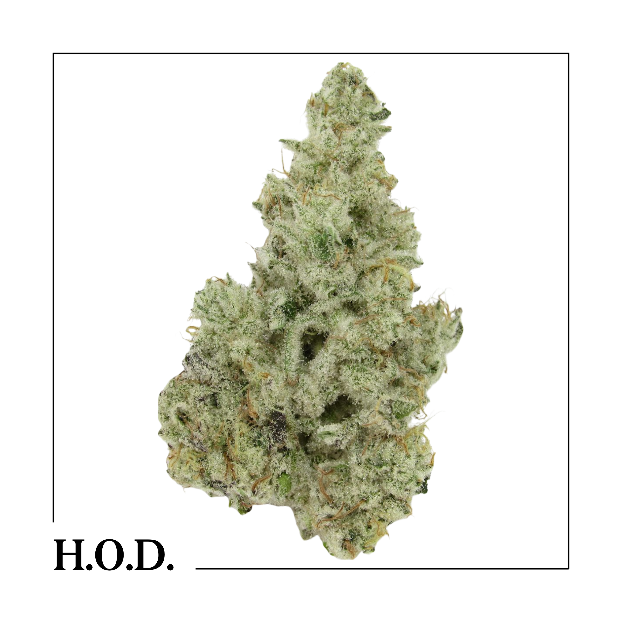 Photograph of product: Cap Junky - 14g