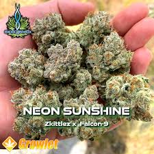 Photograph of product: EXOTIC GENETIX | NEON SUNSHINE | SMALLS | HYBRID - 1g