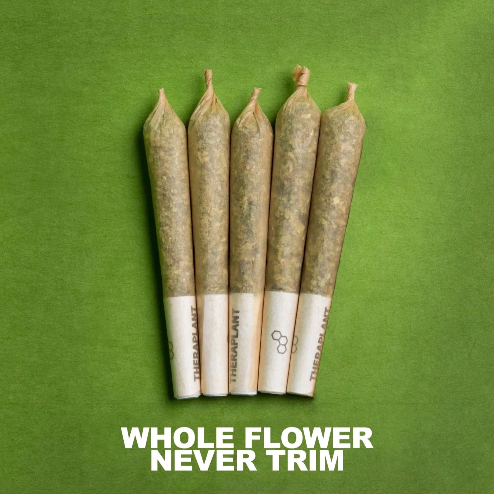 Photograph of product: OG Kush Mini Pre-Roll 5-Pack | 2g (4971)