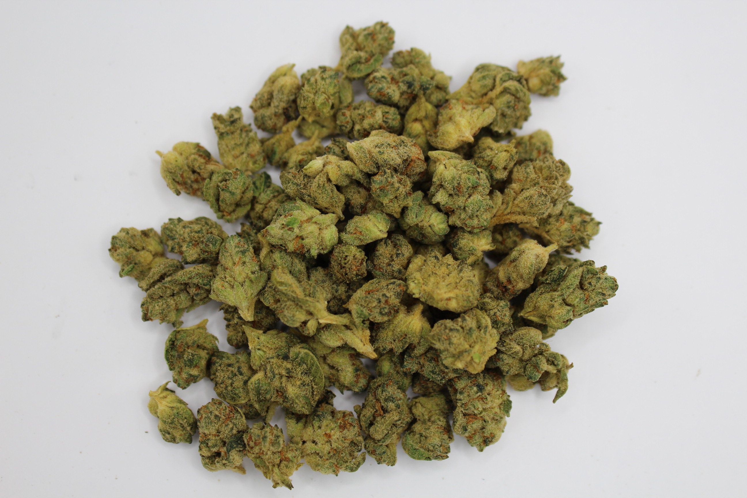 Photograph of product: Grand Master Sexy B-Bud 7g