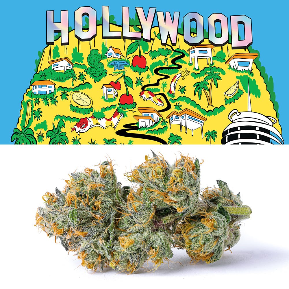 Photograph of product: Hollywood - Cookies - Indoor - 3.5g