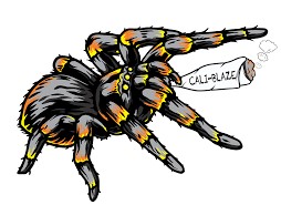 Photograph of product: Cali Blaze - Cherry Lime - 1g Infused Tarantula