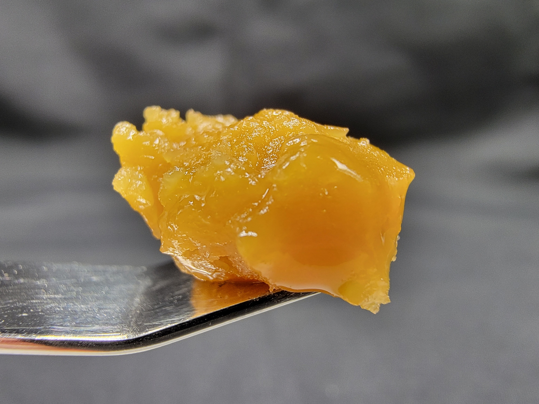 Photograph of product: HEARTLAND LABS - BLUEBERRY MUFFIN BADDER 1G HYBRID