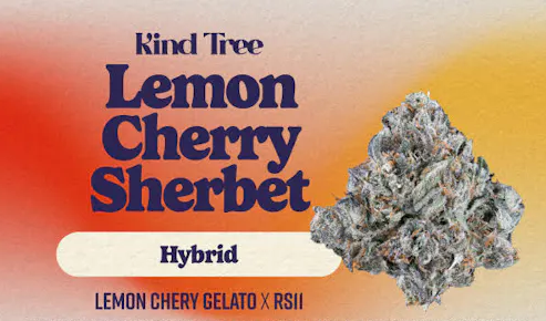 Photograph of product: Kind Tree - Lemon Cherry Sherbet - - Flower - 3.5g