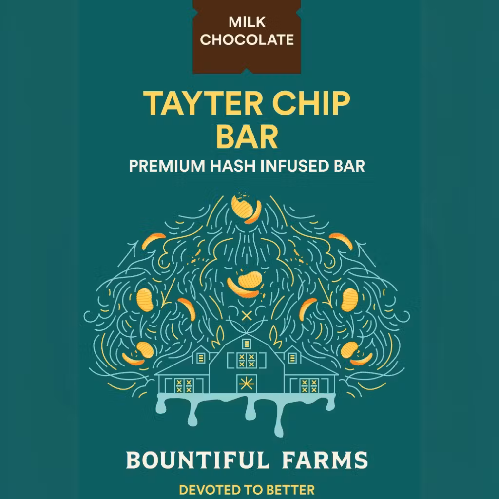 Photograph of product: Tayter Chip Chocolate Bar | TAX INCLUDED