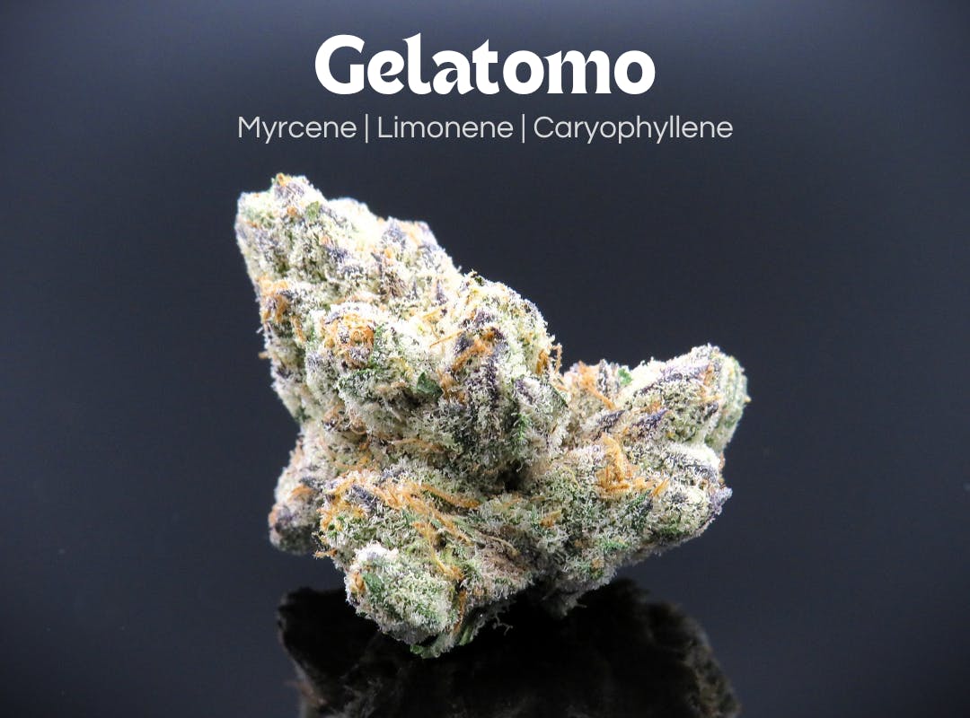 Photograph of product: Gelatomo - 