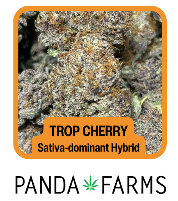 Photograph of product: [REC] Panda Farms | Trop Cherry | 3.5g Flower